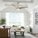 Coleigh 52'' Ceiling Fan with LED Lights