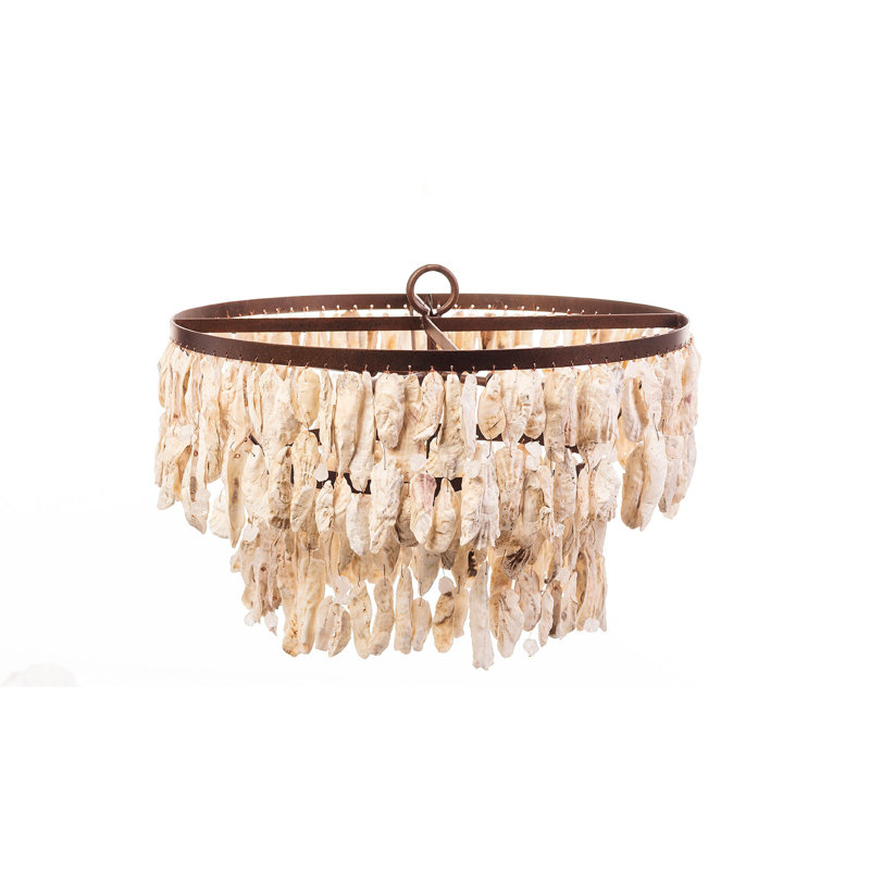 Oyster Shell 8 - Light Chandelier
