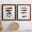Baleine graphique I - ensemble de 2 cadres photo-966349126-966349135-1023591107
