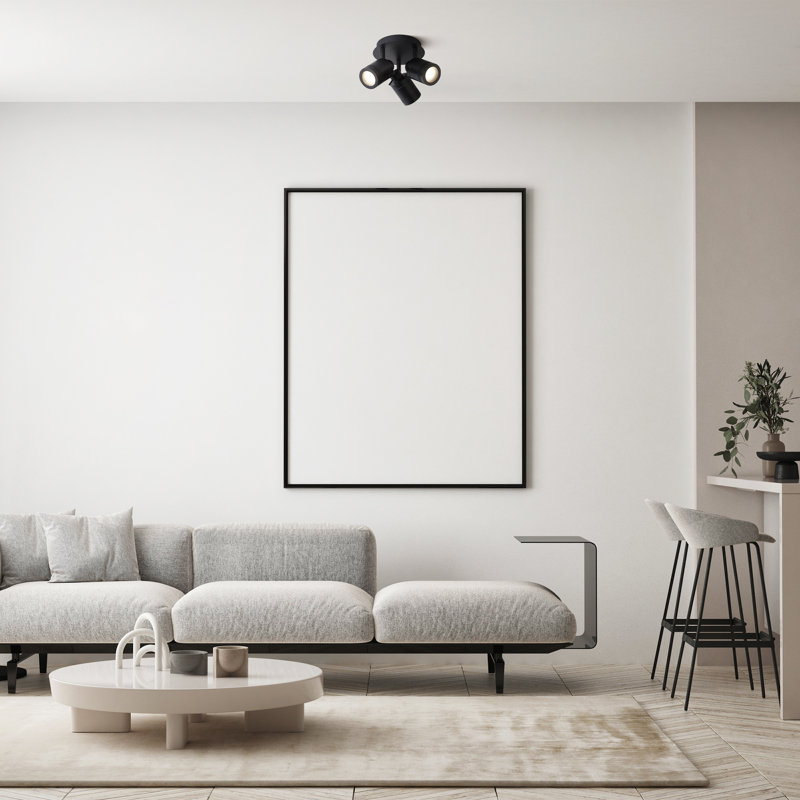 Alcedo Accent