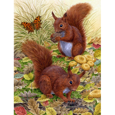 Drapeau de jardin Berner Red Squirrels