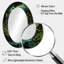 Miroir mural vert traditionnel Forest Enchanted Forest Pastoral I-483469