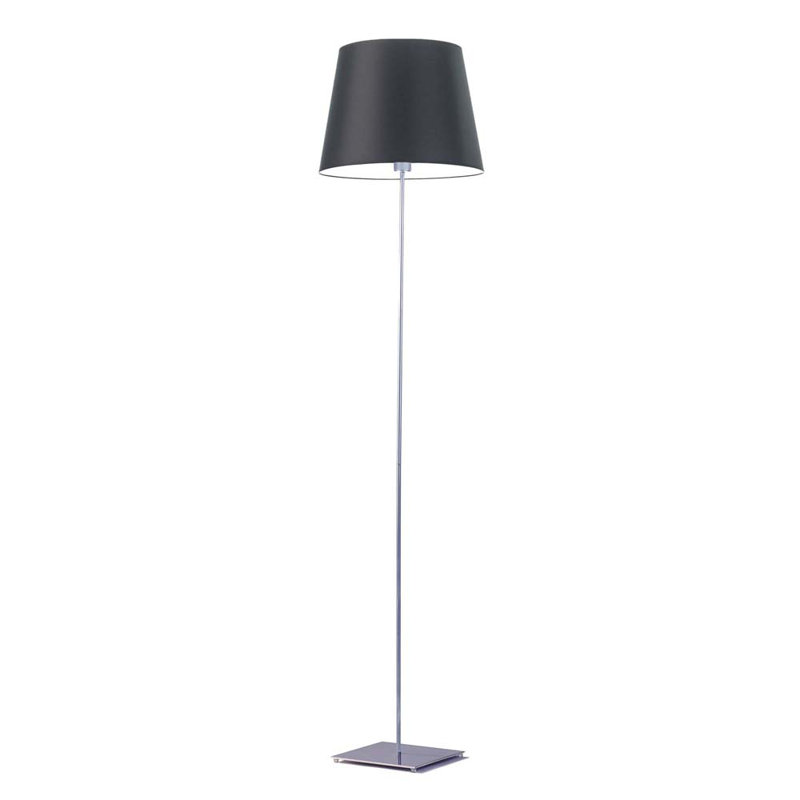 Asauni 162.5cm Traditional Floor Lamp, Silver, Black