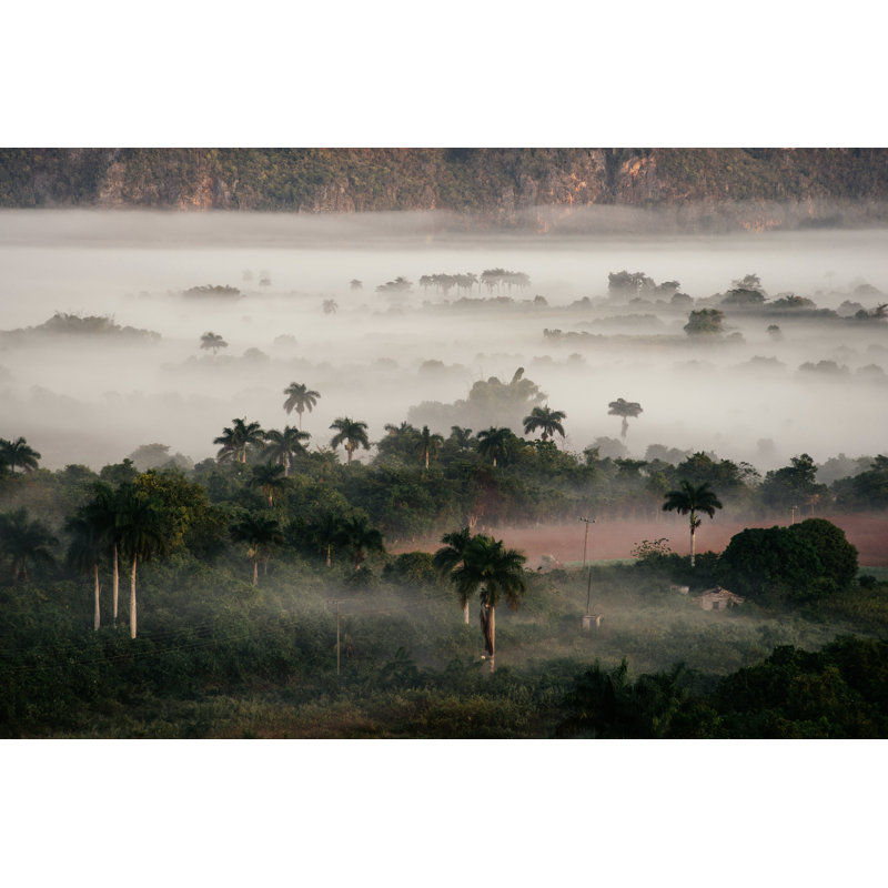 Vinales Valley by Donwogdo, 32" H x 48" W