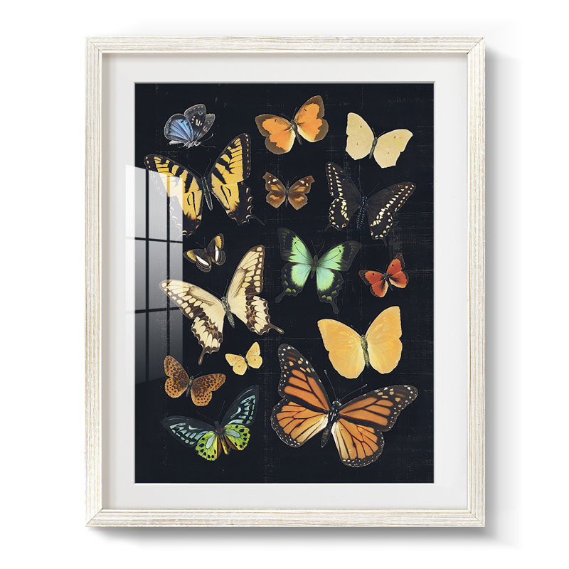 Benno -Gallery Wrapped Canvas