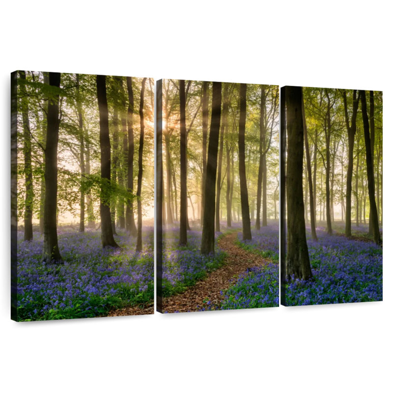 Alvord chemin à travers le bois Bluebell dans la brume, H 28 po x l 45 po