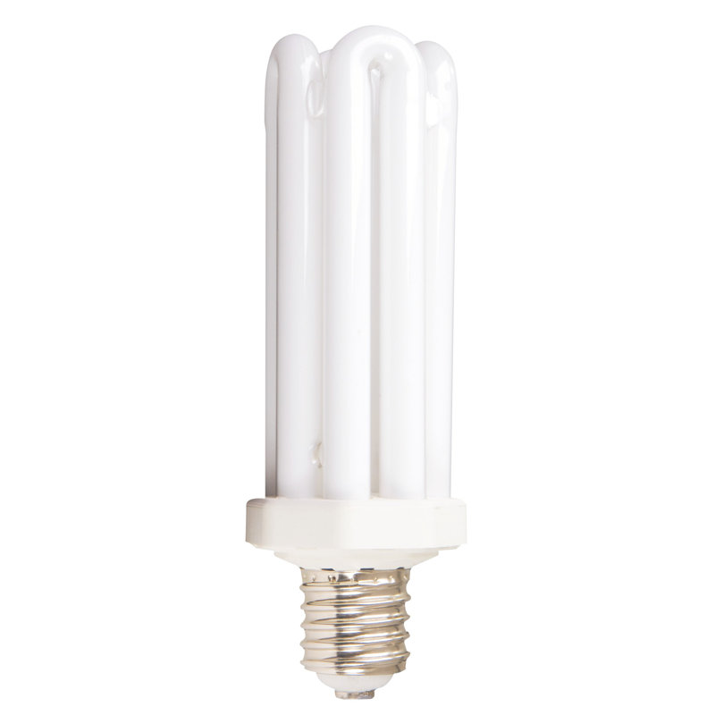65 Watt CFL - Replacement for Dusk-to-Dawn Light