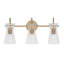 Farryn 3-Light Dimmable Vanity Light-721928901
