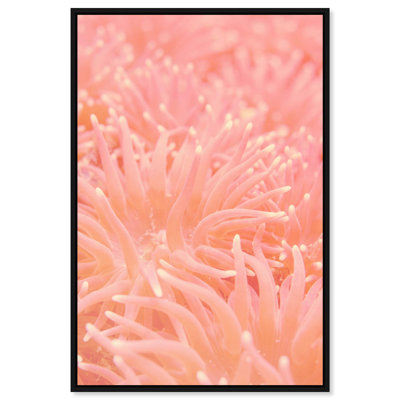 Deep Sea Flowers Graphic Art Canvas