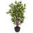 Faux Bamboo Tree in Planter-1223083811