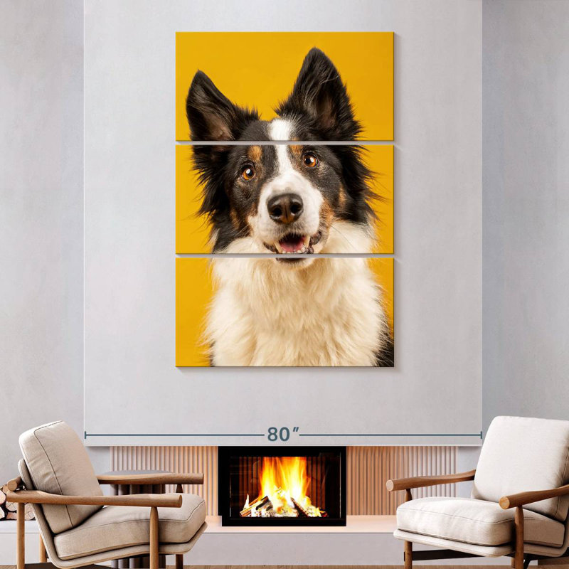 Brampt Adorable Border Collie, 74" H x 48" W