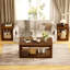 Ensemble de table basse de salon 3 pièces, table basse et table d'appoint de style moderne, avec beaucoup d'espace de rangement et des bords arrondis lisses. Idéal pour les salons, les chambres à coucher, les bureaux et plus encore. Noyer