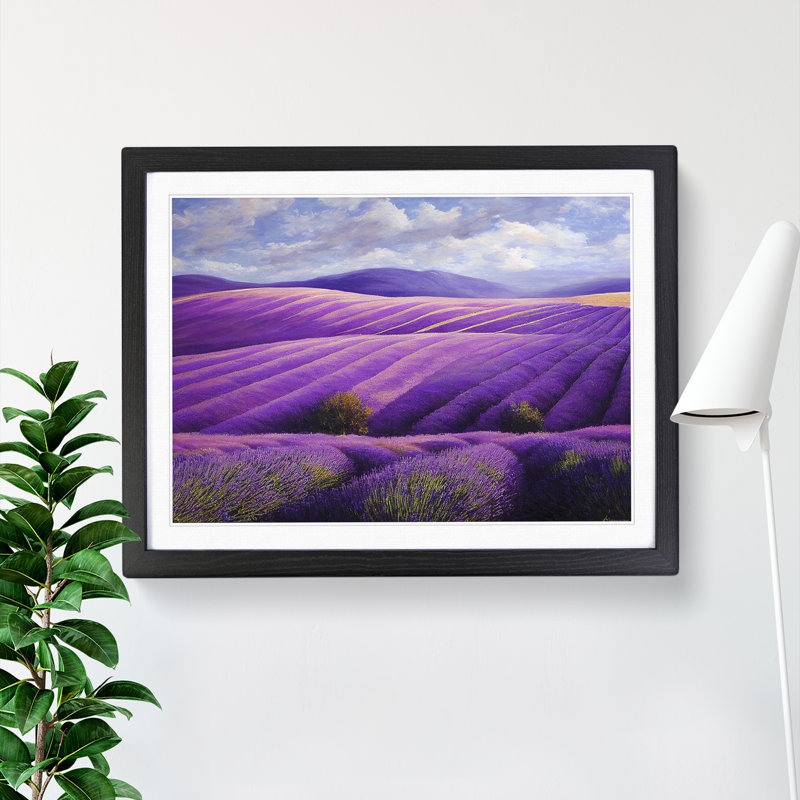 Brave Lavender Flower Field - Single Picture Frame Print, Black Framed, 46cm H x 64cm W x 2cm D