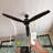 Torrie Ceiling Fan