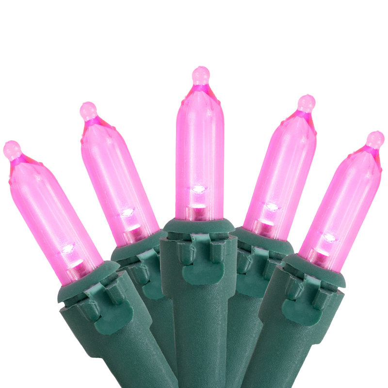 Guirlande de 100 lumières DEL, Rose / vert, 50