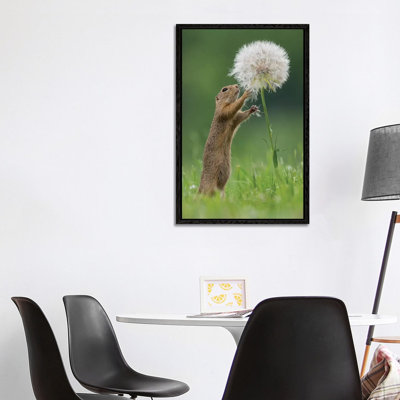 Ziesel With A Very Big Dandelion IV by Dick Van Duijn - Print on Canvas