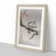 Monkey Upon an Orange Tree by Ohara Koson - Picture Frame Painting Print-55610215-55610220
