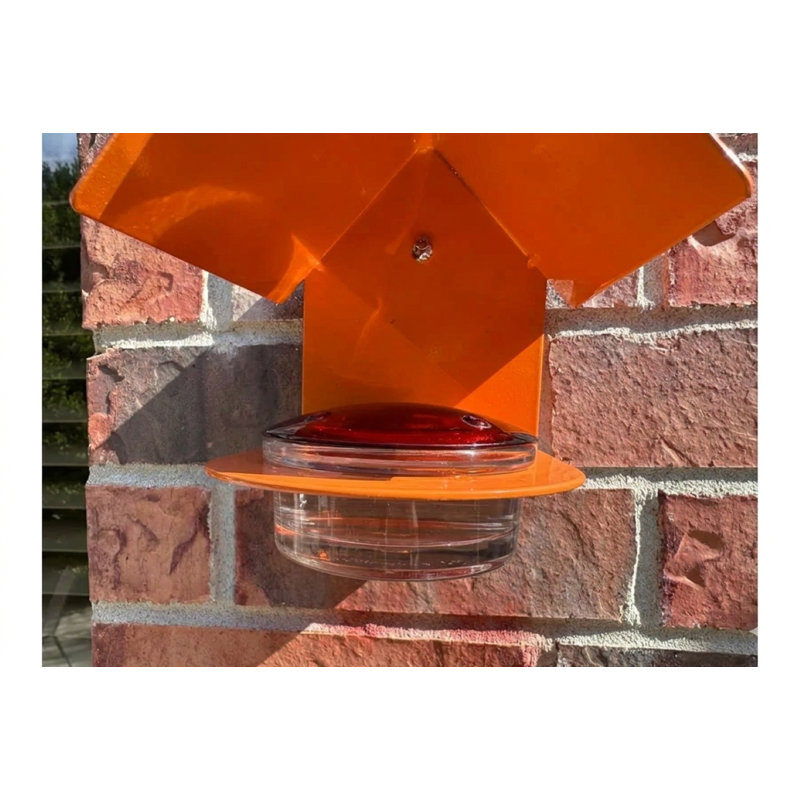 Mangeoire colibri de Dieguez Cottage, Orange