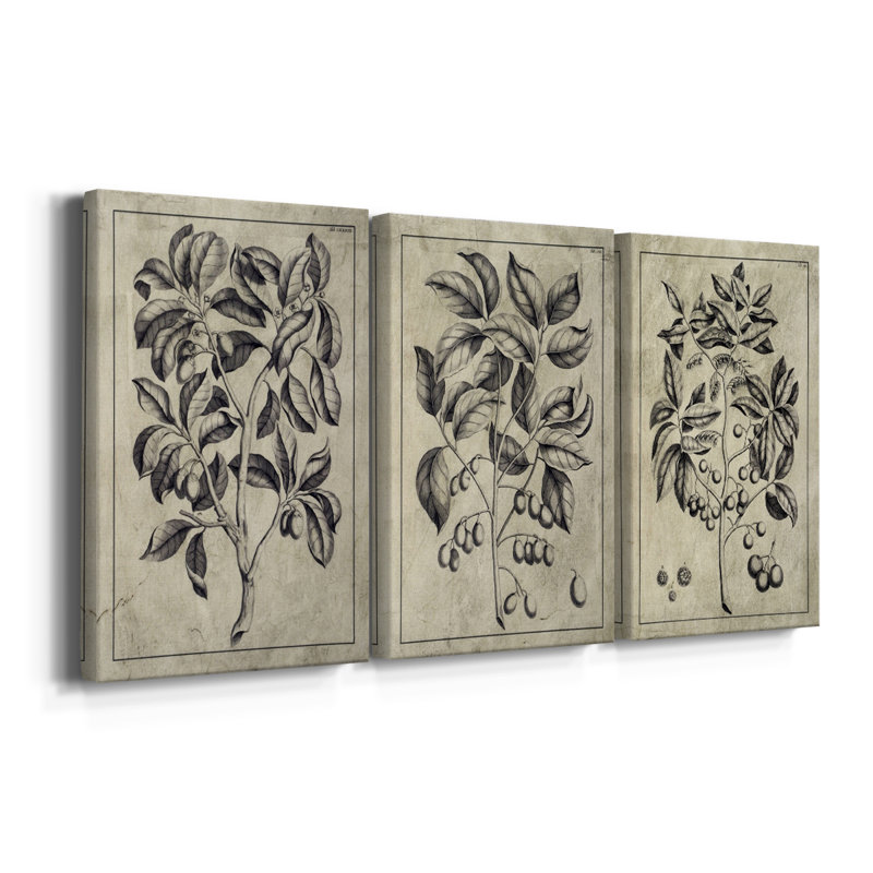 Toile tendue embellie avec feuillage antique I - 3 pièces, H 12 po x l 24 po