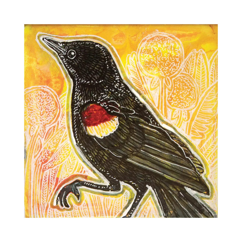 «Red Winged Blackbird» par Lynnette Shelley, impression sur toile tendue, H 12 po x l 12 po x P 0,75 po