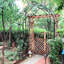 Arche de jardin treillis pour plantes - thermolaquée, 15,67 po Large, en métal noir,