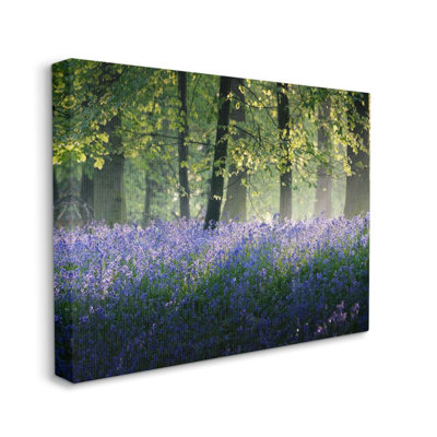" Floral Lavender Field Morning Tree Forest Light " by Adelino Goncalves