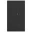 Naohito 2 -Door 4 -Shelf Storage Cabinet-1726716983