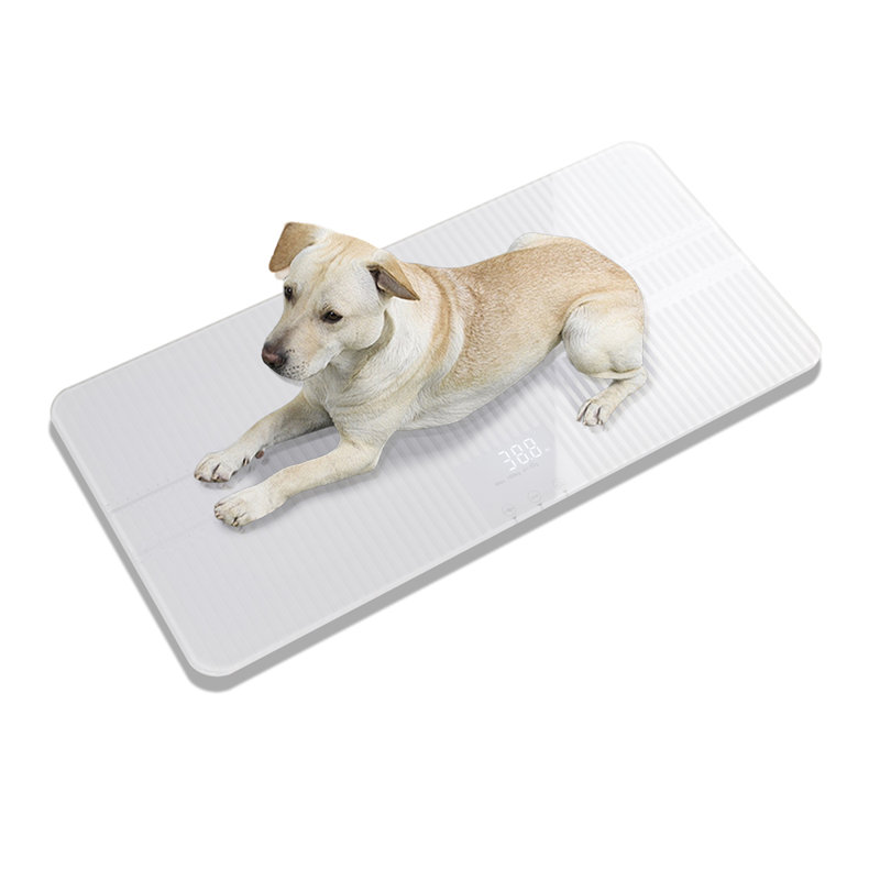 Pèse-personne numérique MAX 220 lb, échelle de poids pour chiens et chats, balance pour bébé