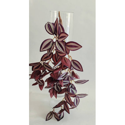 BOUQUET DE ZEBRINA 25''