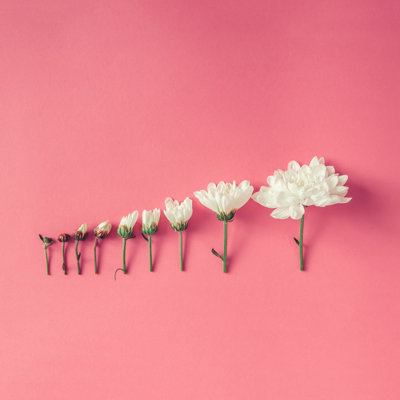 Creative Creative Arrangement - Photographie sur toile tendue