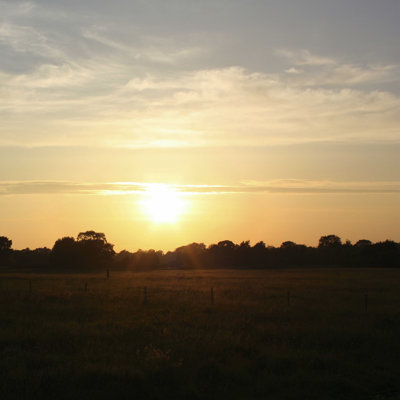Coucher de soleil sur le terrain I