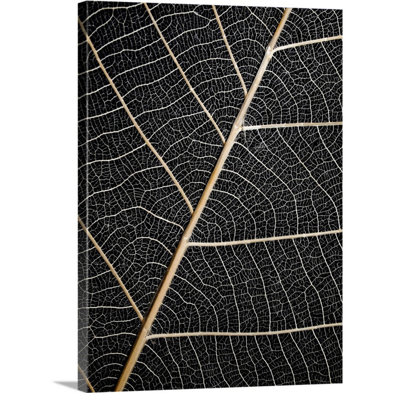 Feuilles de feuilles, art mural, H 24 po x l 18 po, Toile tendue