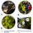 " Scenic Vineyard Reflections "-134192011-134192006