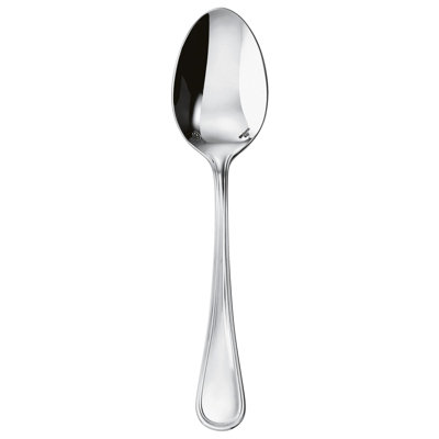 Contour Stainless Steel Serving Spoon