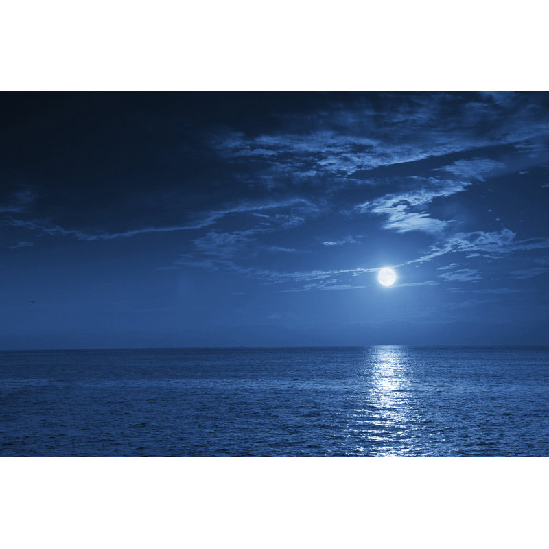 Calm Ocean View by Ricardoreitmeyer - Wrapped Canvas Print, 81cm H x 122cm W