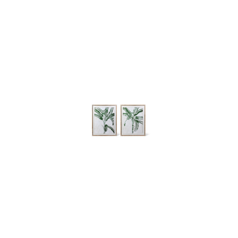 Plants & Flowers