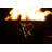 Africa's Big Five Fire Pit