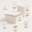 10 Pack Plastic Storage Bins with Lids and Handles