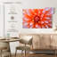 Fleur de dahlia orange blanc Harnek-107668310