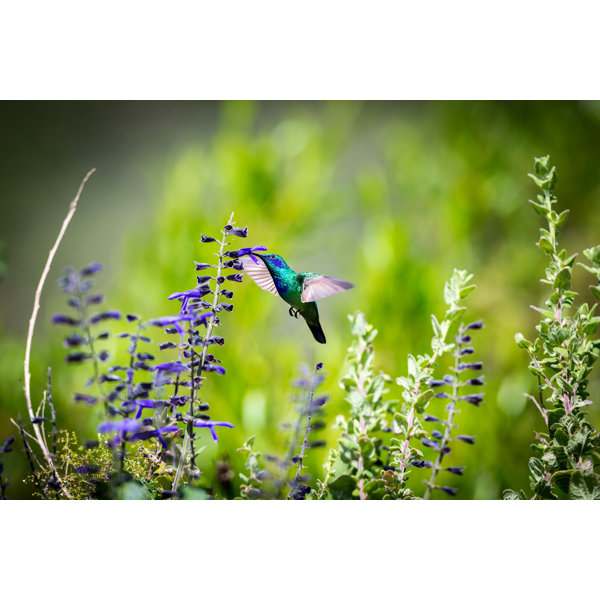 Hummingbird Stained Glass Tumbler Wrap 40 oz top and bottom