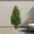 Bay Leaf Artificial Topiary Tree UV
