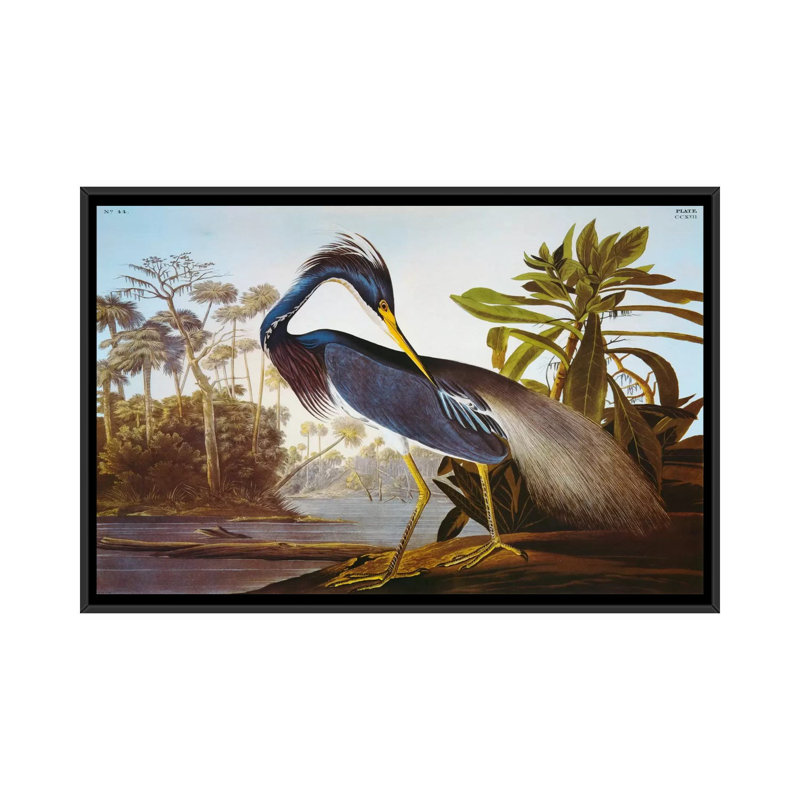 «Lake Helen» par John James Audubon, reproduction d'art sur toile tendue, Toile avec cadre noir, Pas de tapis
