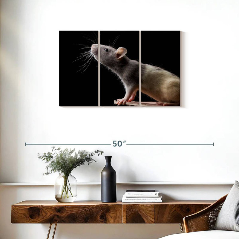 Brampt Rat Close Up, 20" H x 33" W