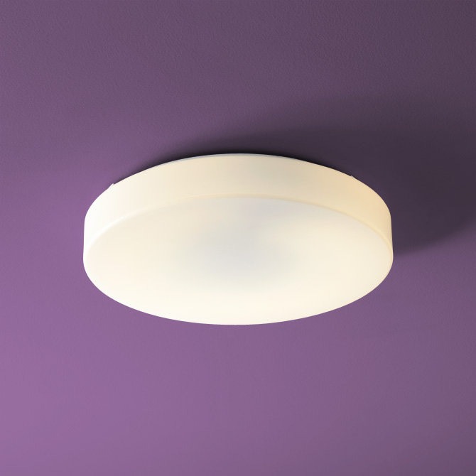 Garrot Acrylic Flush Mount
