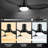 Effy 45'' Ceiling Fan with Light-1545660690