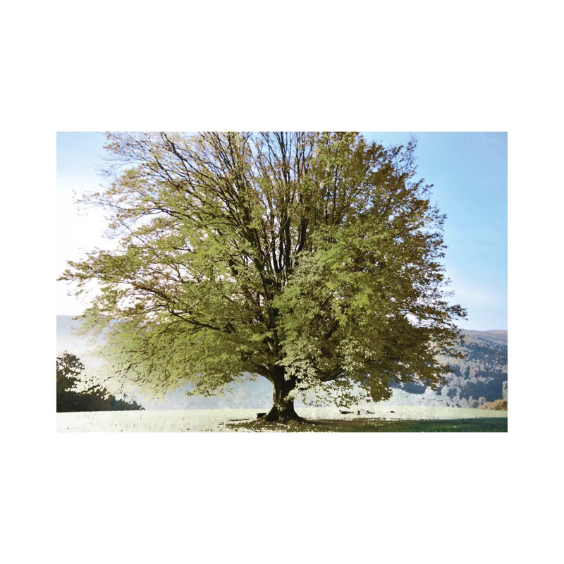 Season Of Summer by Irene Weisz - Wrapped Canvas Print, 20.32 cm H x 30.48 cm W