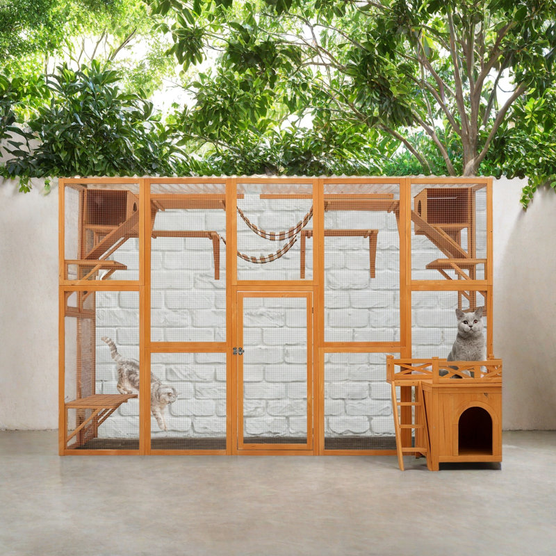 Maison d'extérieur pour chat avec boîte extérieure et plus d'espace
