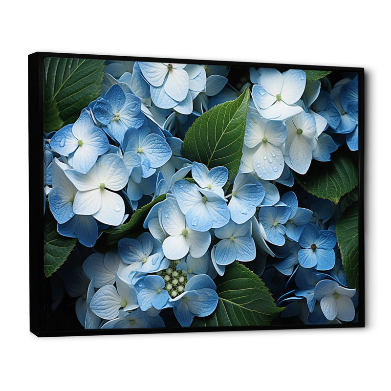 «Blue Hydrangea Field», vue aérienne sur toile, H 12 po x l 20 po x P 1 po, Cadre flottant noir