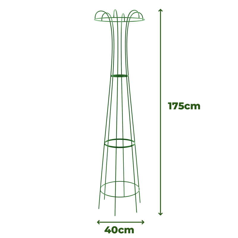 Wilmore Metal Obelisk Plant Support, 175cm H x 40cm W x 40cm D, Green