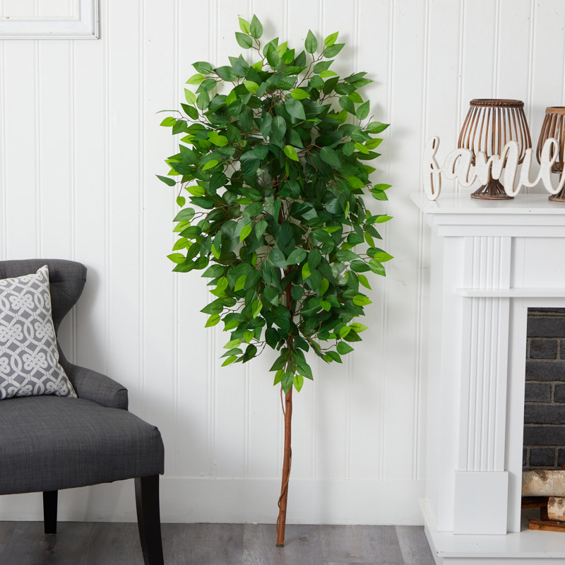 Vickers 60'' Faux Ficus Tree